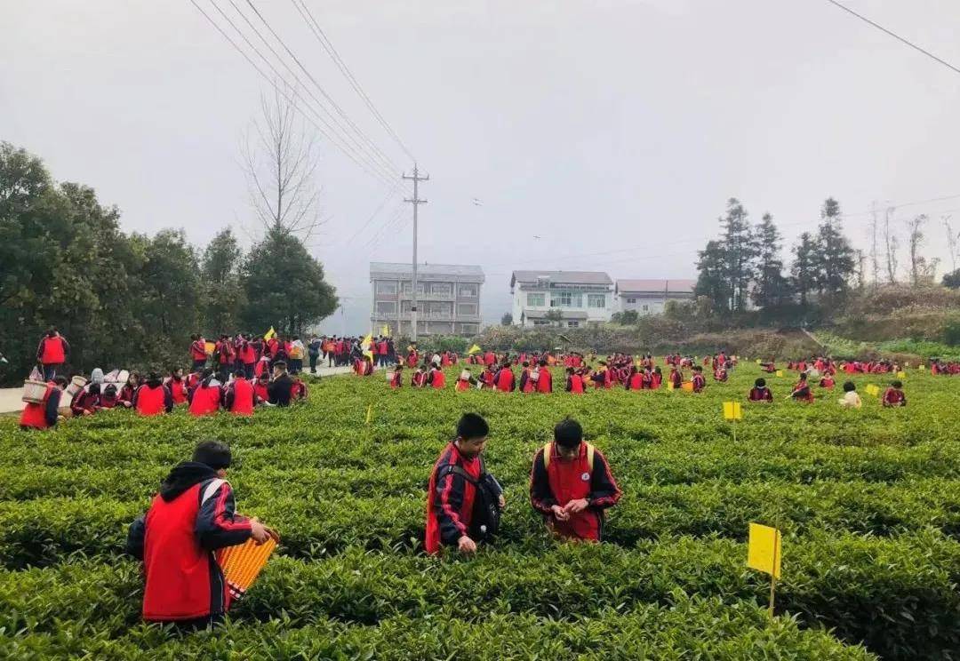 烧烤|江南中学学子走进白沙溪开展研学实践之旅