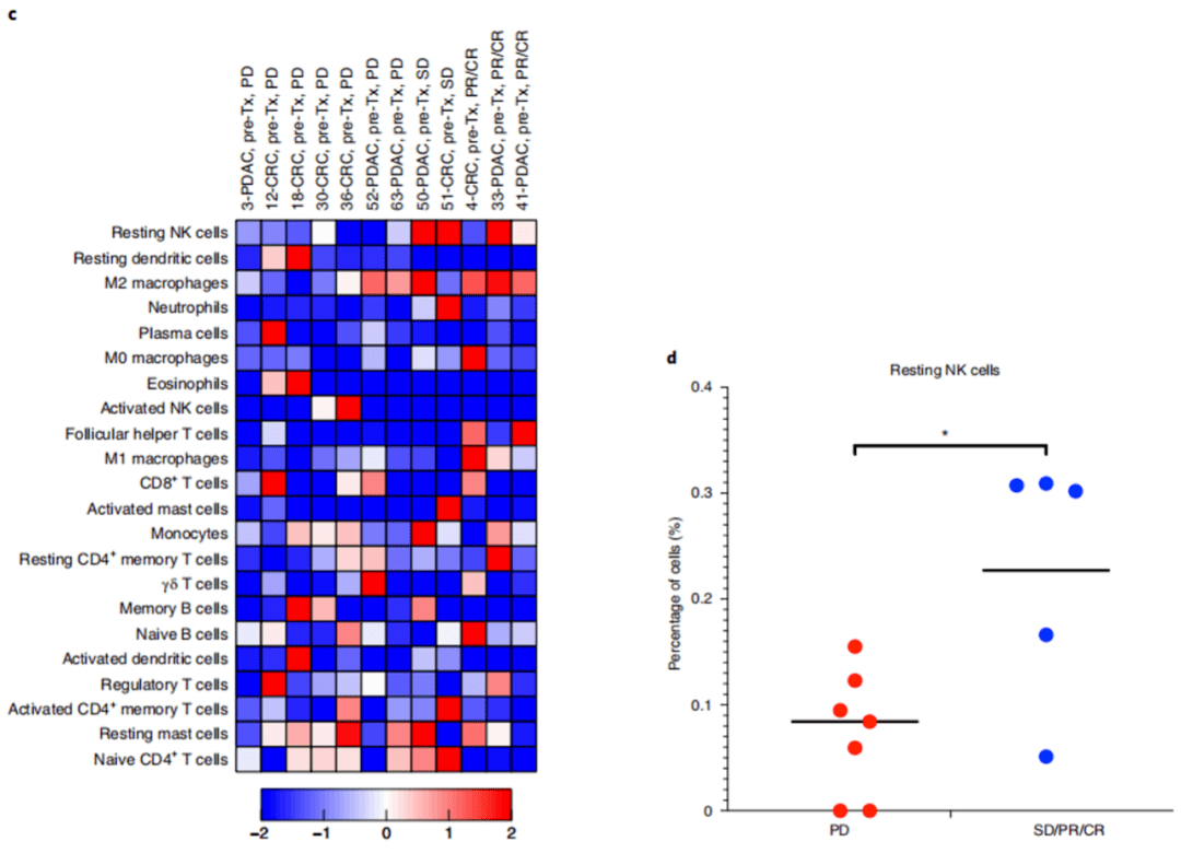 肿瘤|《自然》子刊：放疗+双免疫，难治肿瘤终于松动了