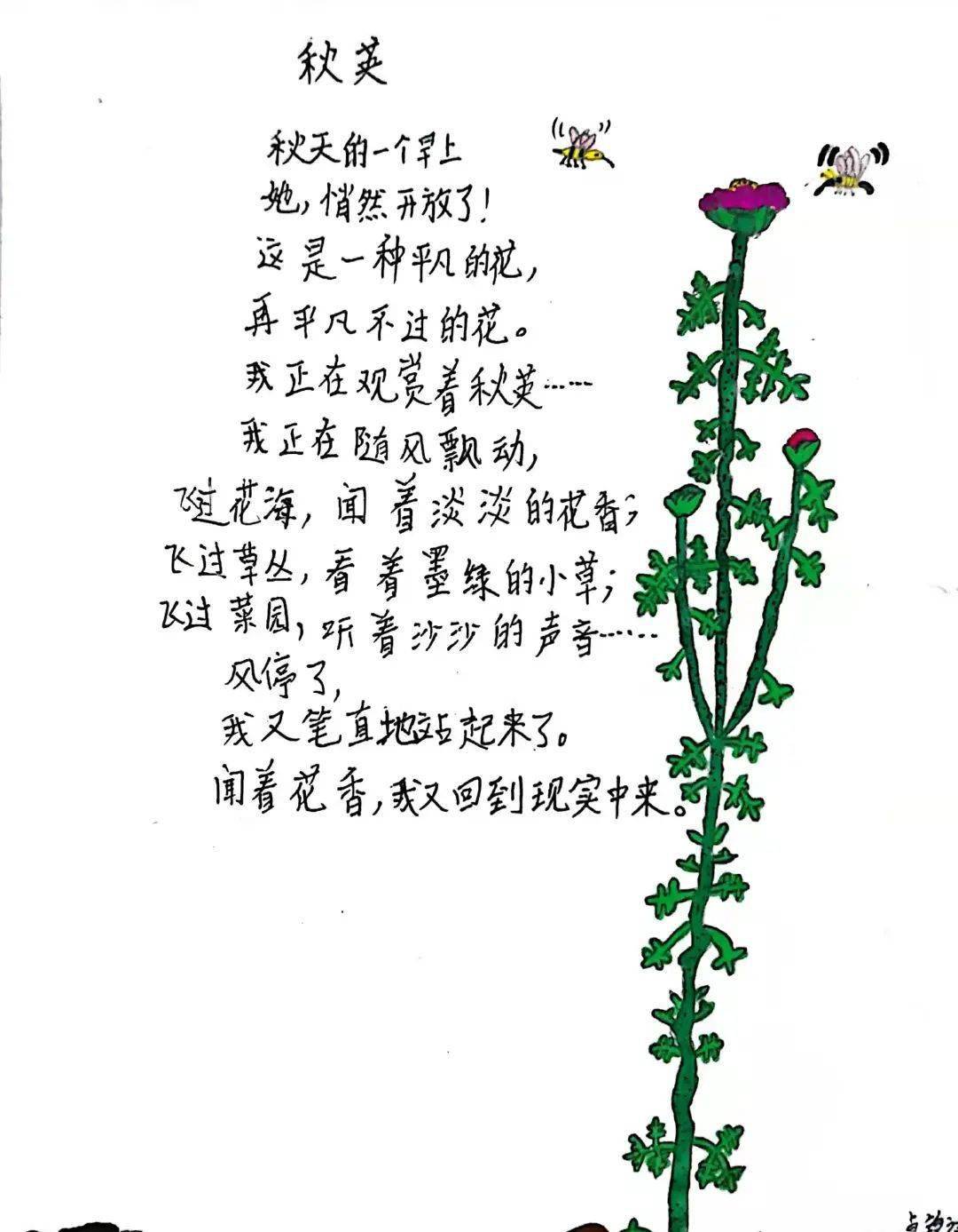 现代诗歌有关植物图片