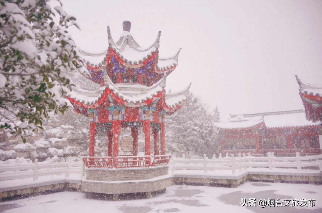 蓬莱|“雪窝”烟台变妆照，惊艳了全国！珍藏！