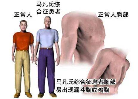 68a31c1ed9e7405f850e9b7dad201727.jpeg