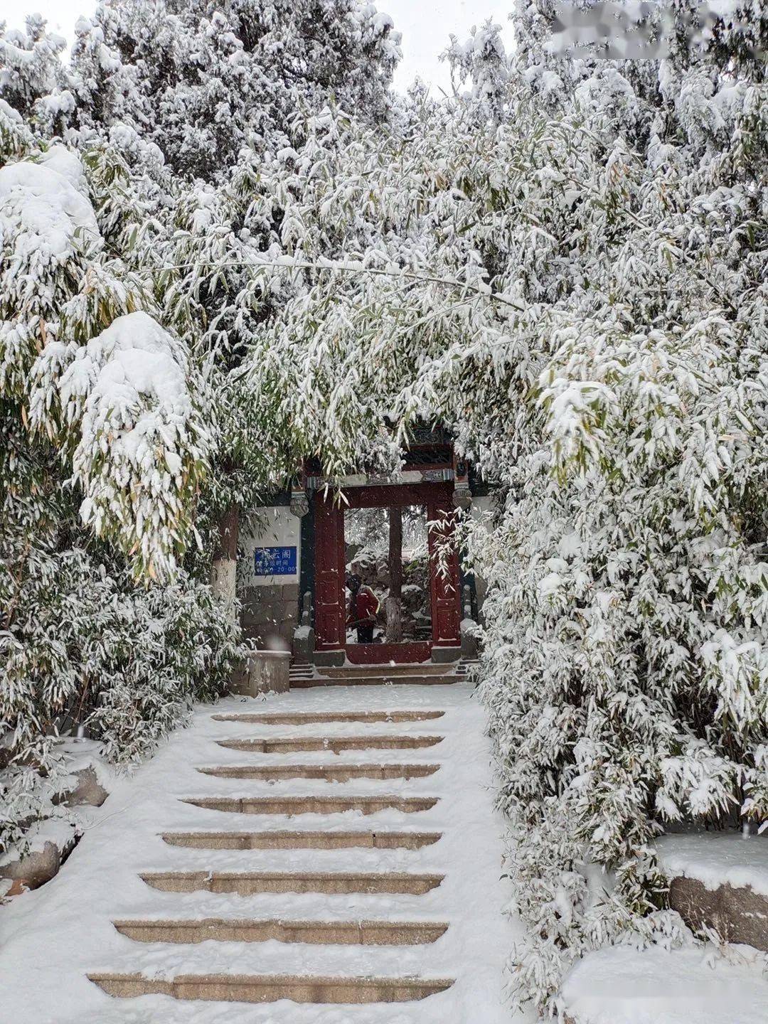 蓬莱|“雪窝”烟台变妆照，惊艳了全国！珍藏！