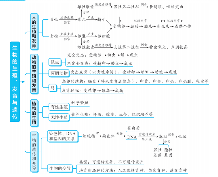 是一种|初中生物各专题知识梳理思维导图大汇总，预习复习都适用！