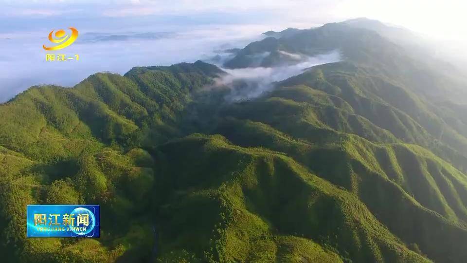 阳春鹅凰嶂图片