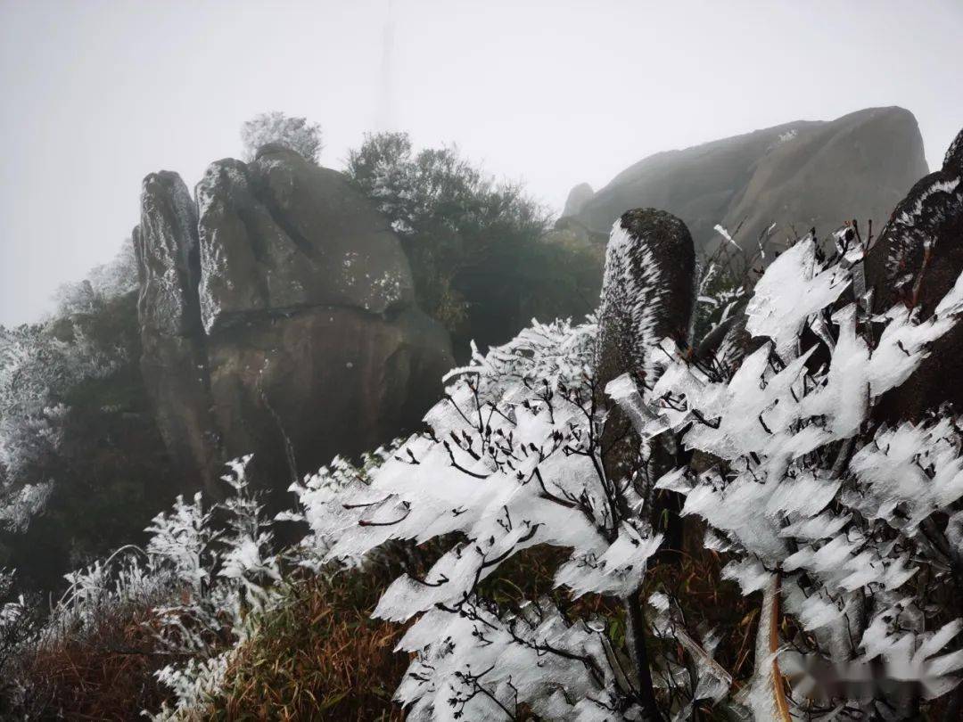 福建漳州下雪图片