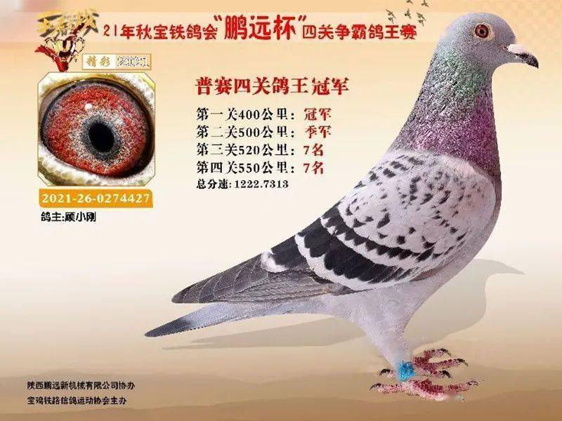 双冠王 五冠王 十关王!_神鸟_福齐_武汉