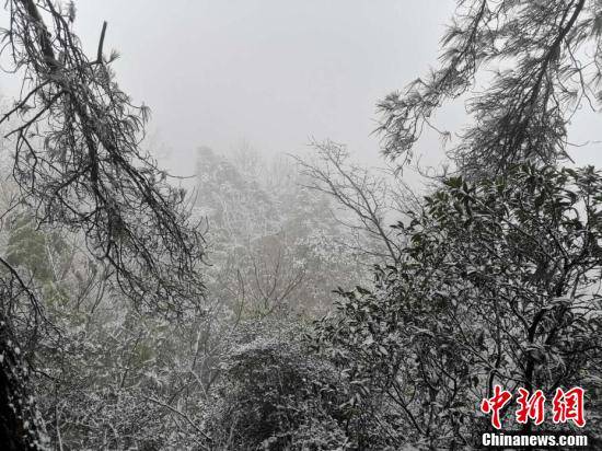 小峨眉|四川多地迎来首场降雪 南充金城山景区满山银装素裹