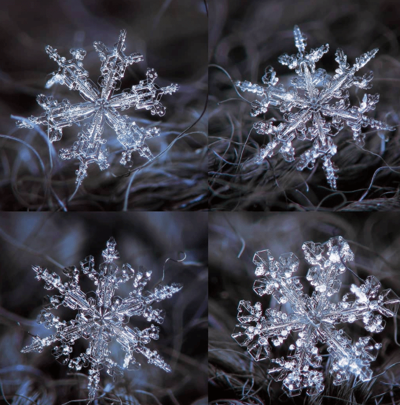 奥秘|他拍下世界最美68张照片，罕见三角形雪花曝光，8万人痴狂：宇宙终极奥秘是雪花！