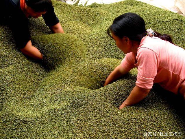 同样是花椒 红花椒和青花椒有啥区别 知道后别再乱买了 麻味 菜品 颜色