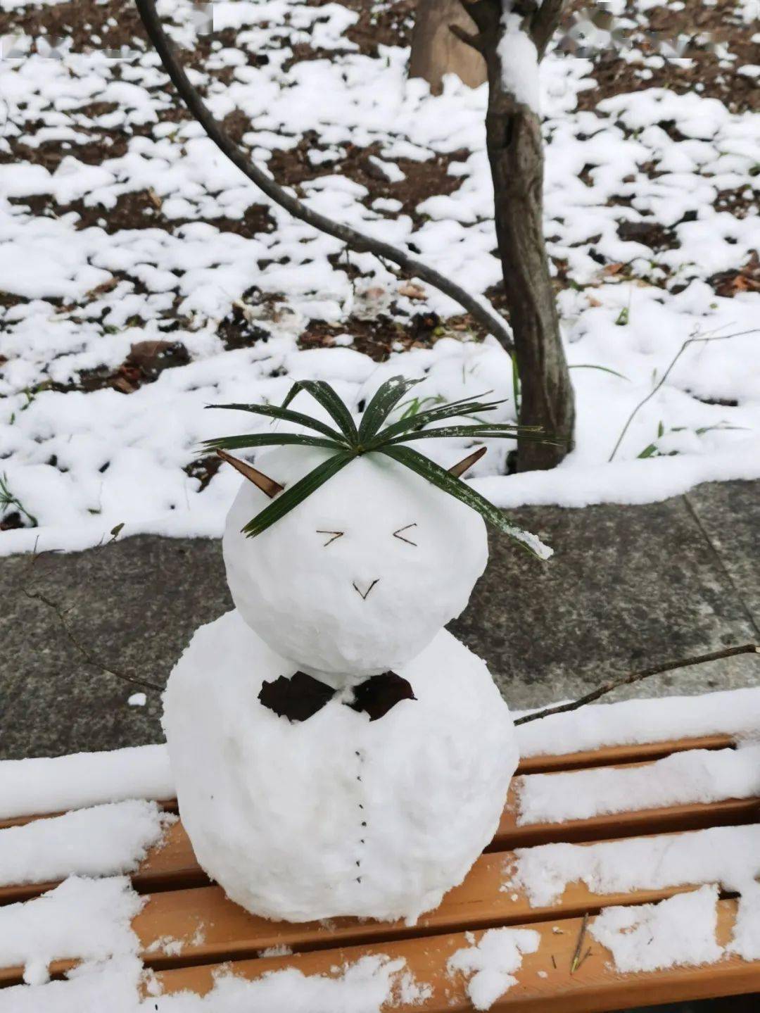 抗击疫情雪人-对酒当歌歌不成