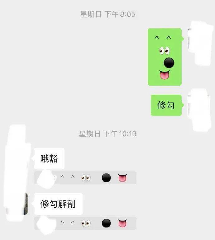 内容|【冷兔趣闻】咱就是说，恋爱还是得看别人谈~