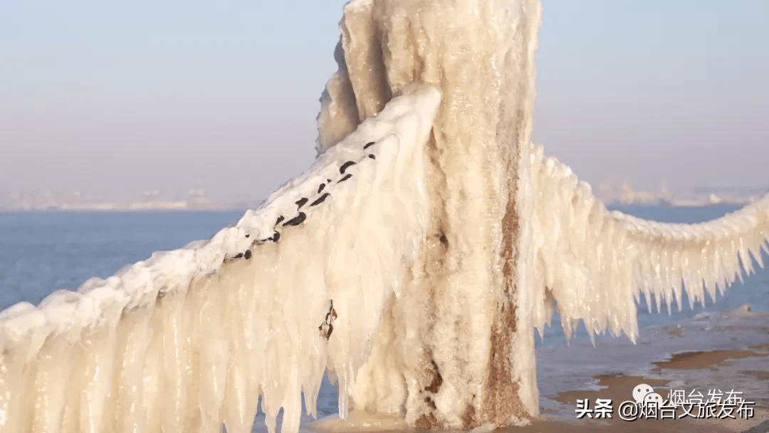 雪花|仙境烟台，风雪中的这三天……