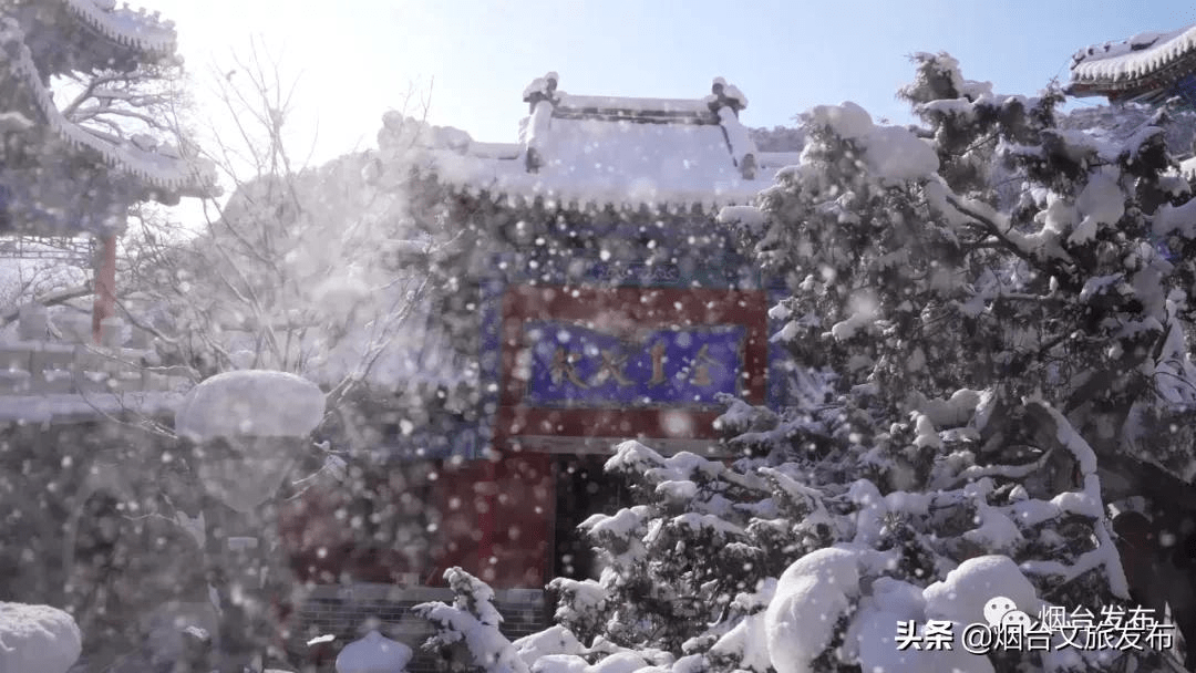 雪花|仙境烟台，风雪中的这三天……