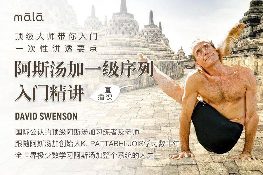 顶级名师直播课丨davidswenson阿斯汤加一级序列入门精讲带你入门