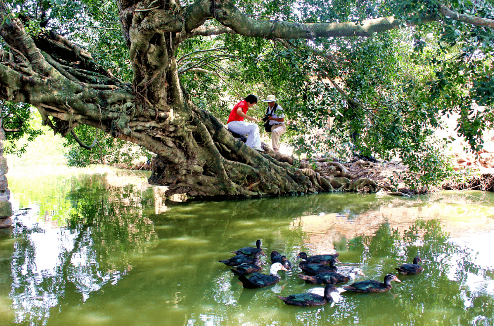 扬帆龙海游记埭美古村落给人视觉的震撼