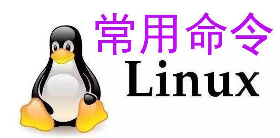 Linux Shell Test 命令 想玩转linux就请一直看下去 文件 Apos 实例