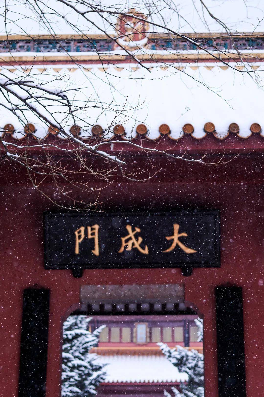 初雪|湖南高校初雪图鉴 第一次这么认真地赏雪