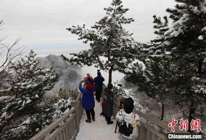 张家界|湖南张家界：冰雪染峰林 云海入画来