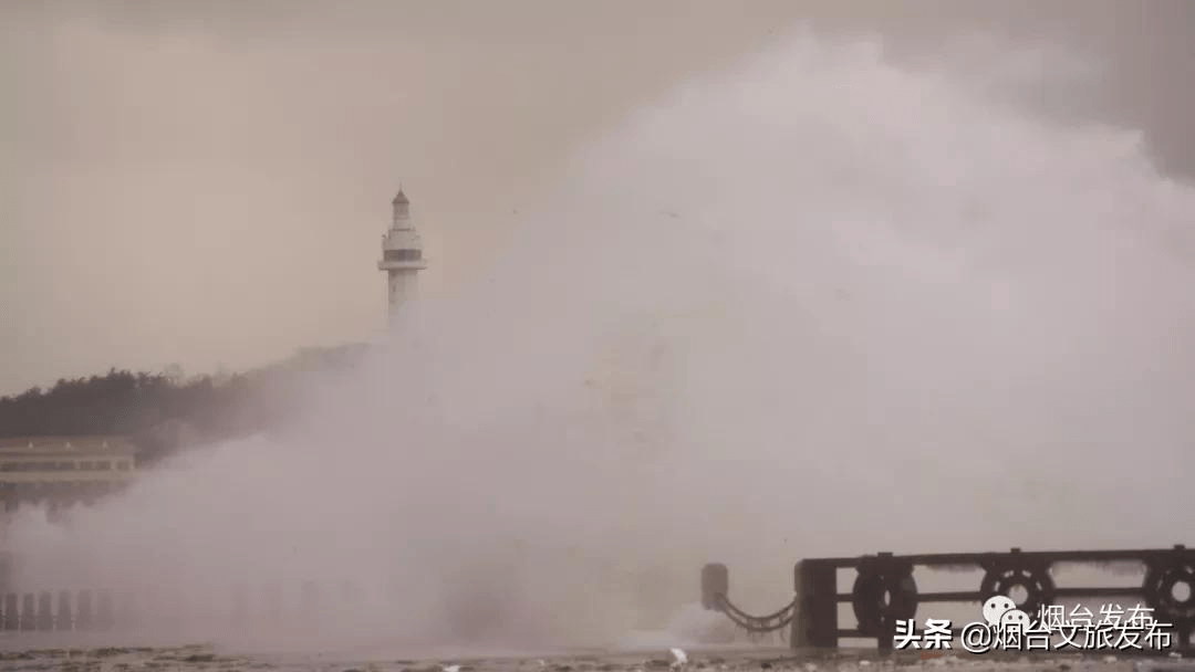 雪花|仙境烟台，风雪中的这三天……