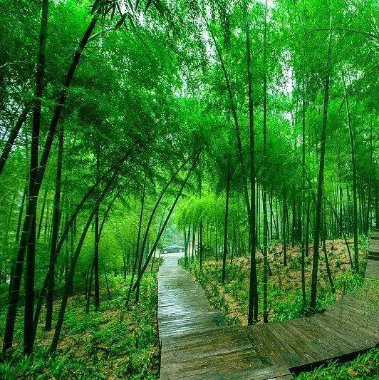 箬篑山水秀江南_东湖_乌篷船_绍兴
