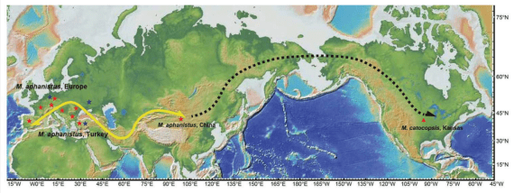 化石|远古发现丨2021年这些有关“远古”的新发现，哪个曾让你大吃一惊？