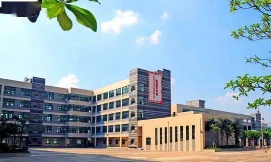 广东省广州市花都区秀雅学校广东顺德勒流"跃动少年"花样跳绳队成立于