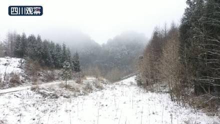 白雪|赏雪时间到！四川多地降雪变晶莹世界