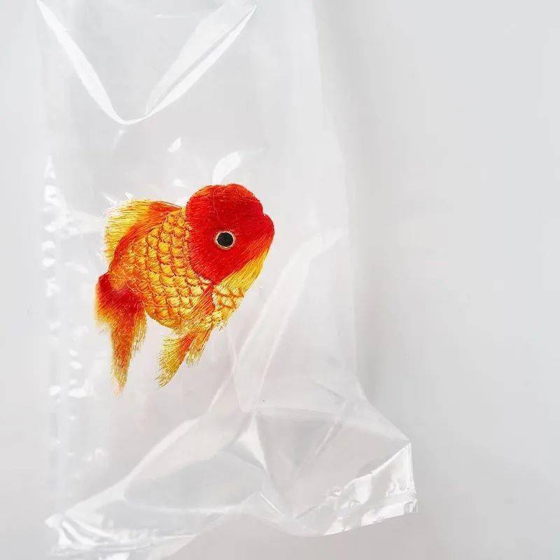 塑料袋上的刺绣金鱼,浮游在空气里_许开娇_kiinii_艺术品