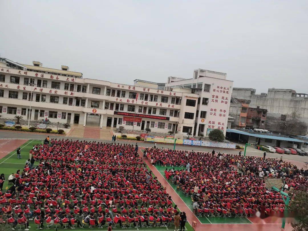 平南县开展"小手拉大手"反邪教宣传教育进校园活动_家长_科学_思旺镇