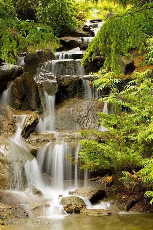 106幅养眼的美图