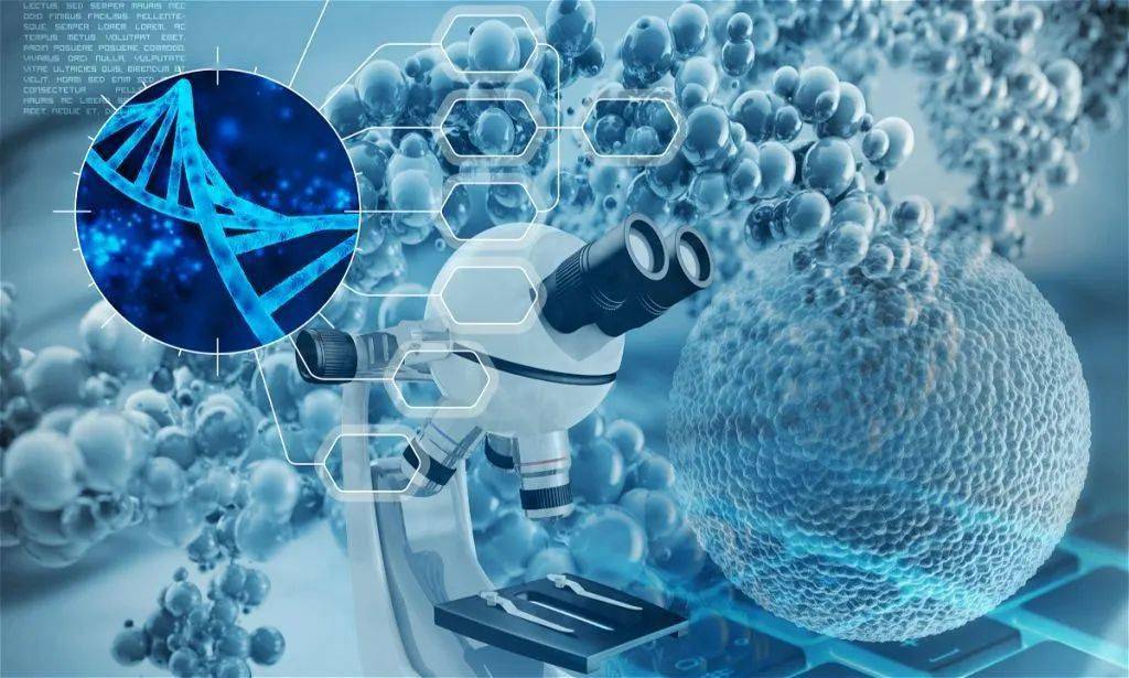 生物技术咨询：为科学研究插上翅膀