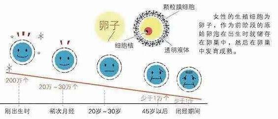 女性的最佳生育年龄你知道吗？这个年龄刚刚好