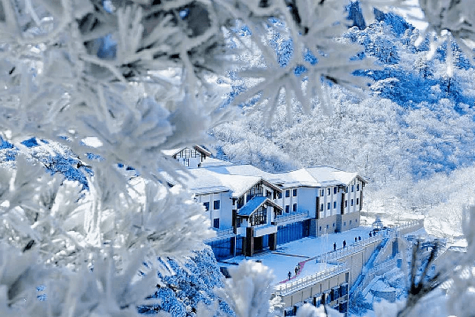 服务|新年登黄山，“四绝”躺着看