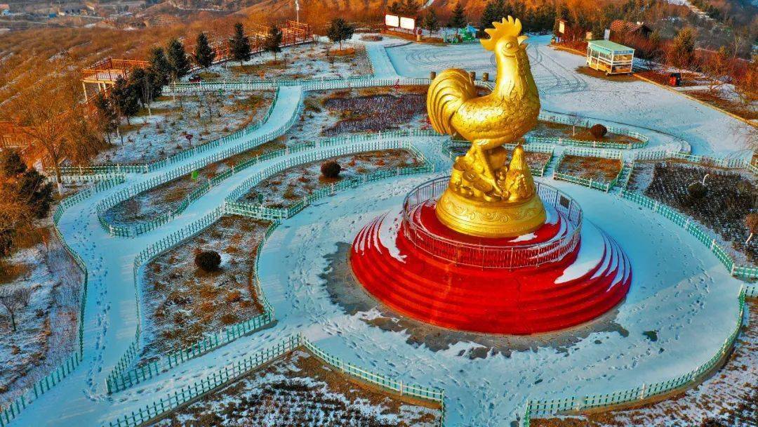 图说彭阳金鸡坪上金鸡美