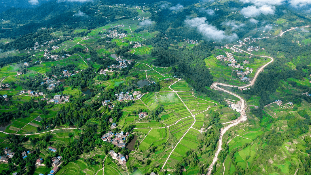 宣汉县胡家镇鸭池村:坚持三个聚焦 促乡村振兴_建设_发展_集体经济