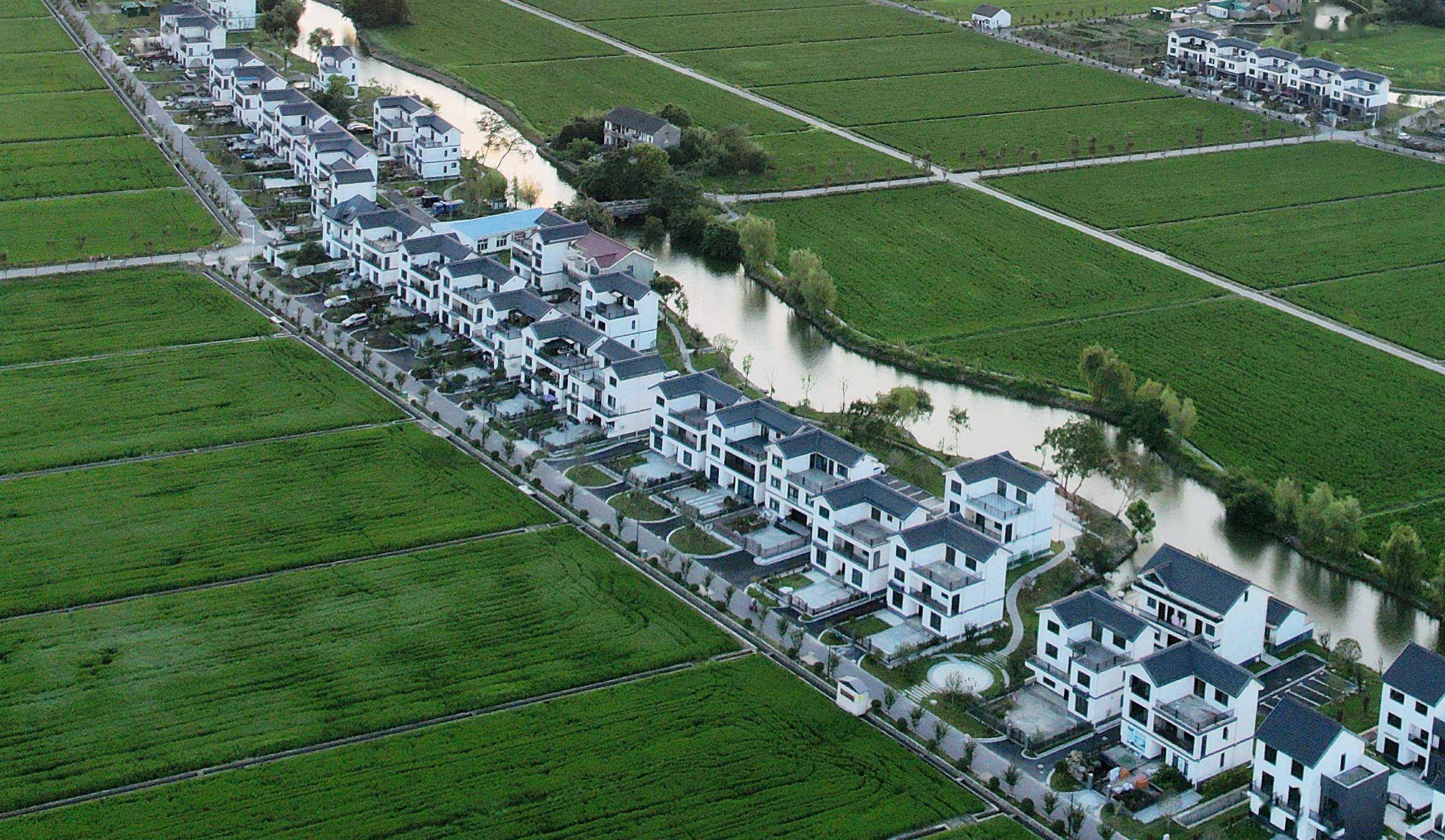 有上海韵味的乡村,原来这么美!如何打造精品乡村?