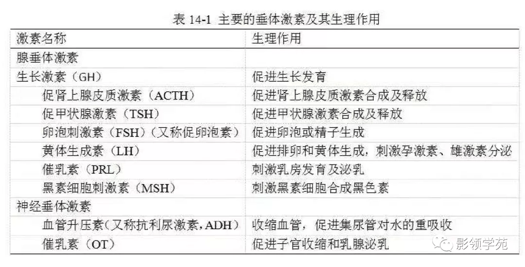 Rathke|垂体解剖及常见病变影像学表现