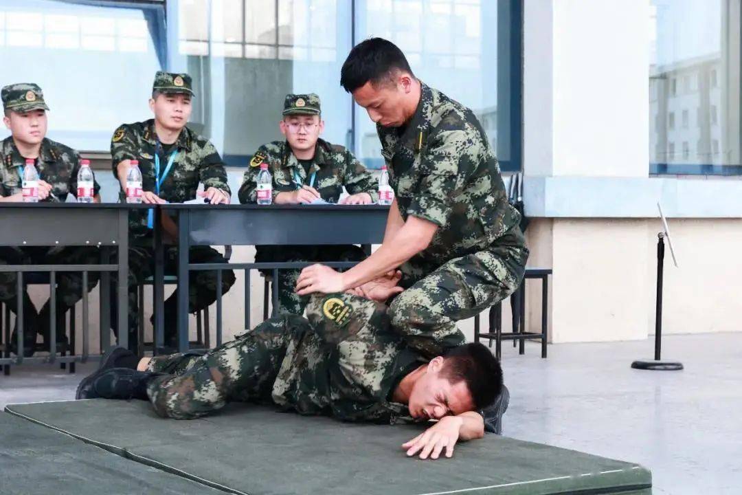 陸軍炮兵防空兵學院,低空利劍,特戰學院,陸軍邊海防學院,陸軍防化學院