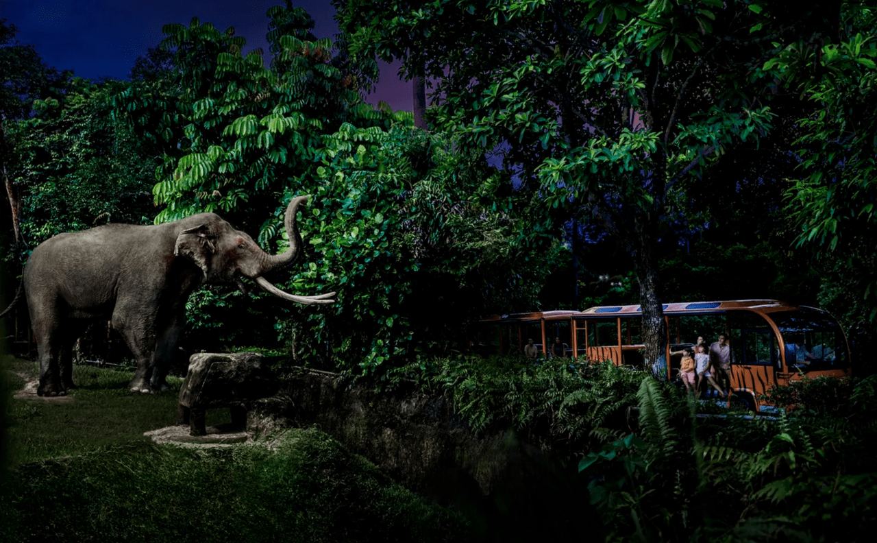 新加坡99夜间动物园 night safari,图源官网用不同的出行方式我认为