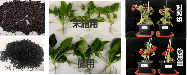 绿色甲醇：碳中和的另一条道路