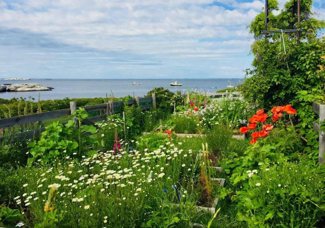 迟到127年的自然文学经典:她用50年将荒岛变成一座花园_西莉亚_小岛