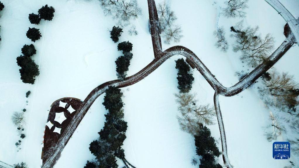 冰城,冰城|雪后冰城