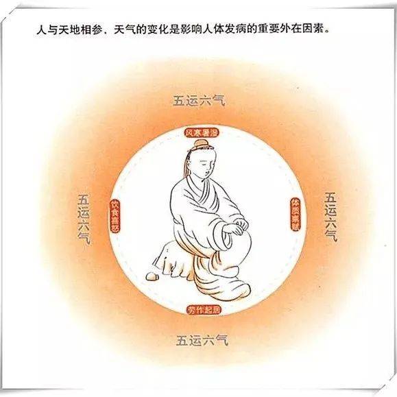 五运六气,你的生辰决定了你的体质!_食物_年份_先天