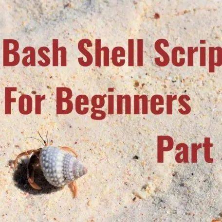Bash Shell 脚本新手指南 一 Linux 中国 Learnto Cn 权限