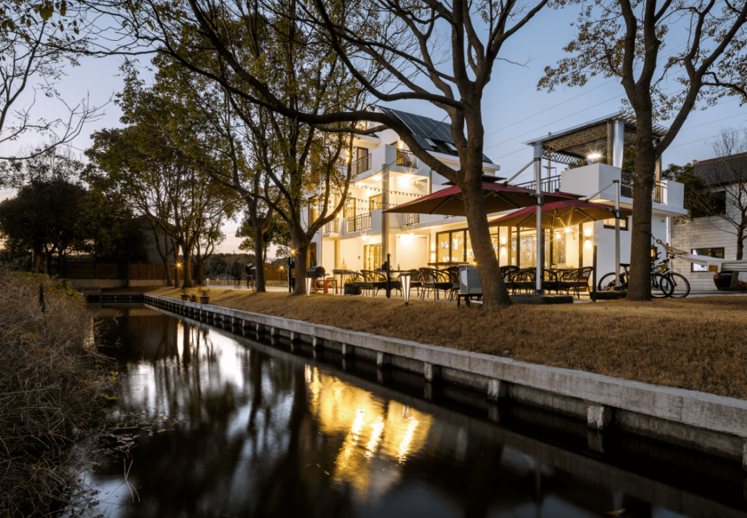 香樟树耸立在河边,树冠宽阔,高大挺拔,如卫士一般在民宿前"站"成一排