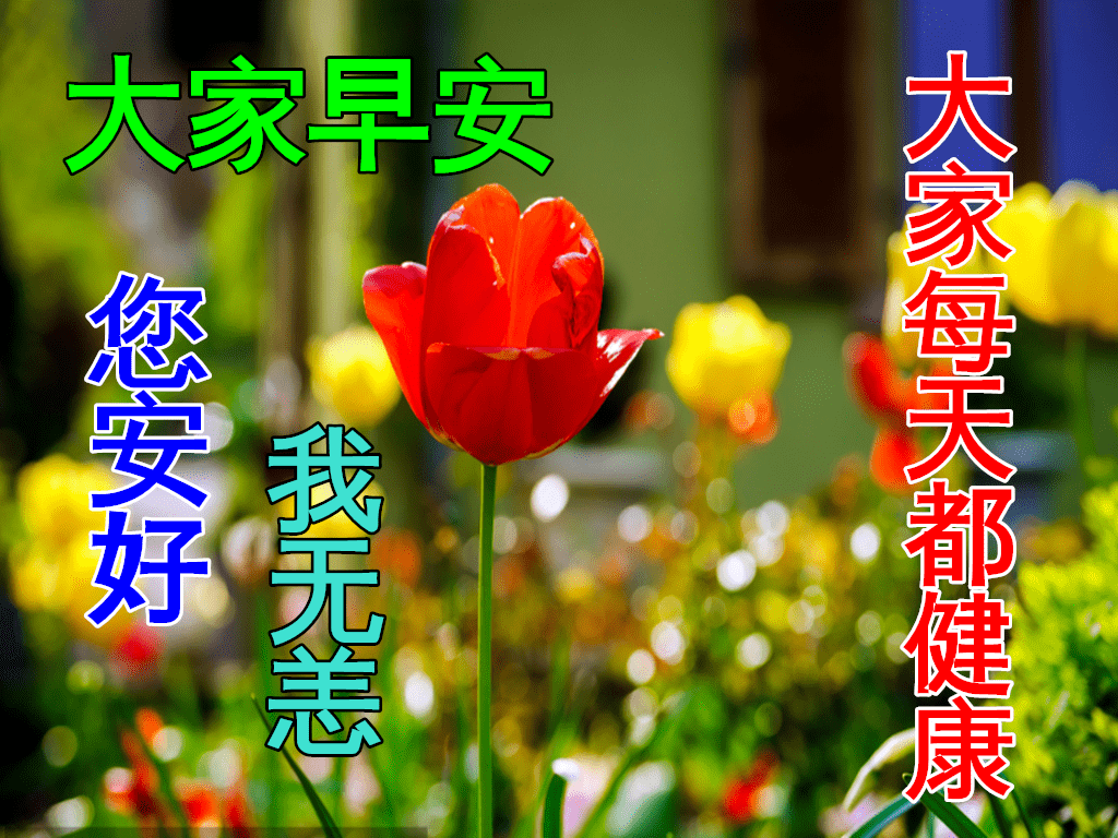 好字图片大全简单 e9388323cd6d4917adf5bf3f0e0fcba1.png