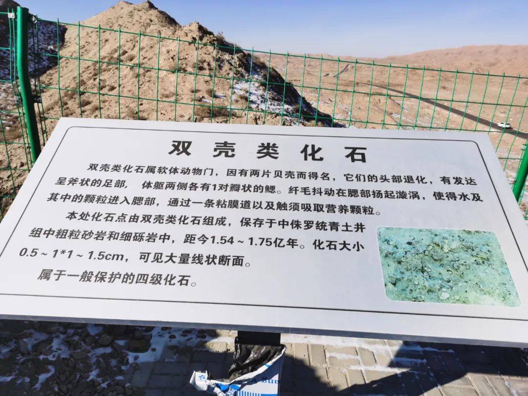 在金昌去往泉沟的路上,金泉路11-12公里处,有一神秘的古生物廊道,散发