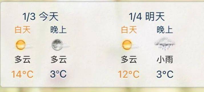 中雨|万一成真呢！