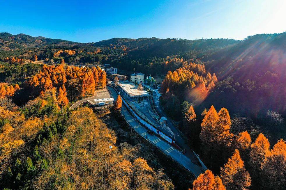 优秀村规民约居民公约茶店子镇西坪村绿葱坡镇袁家荒村