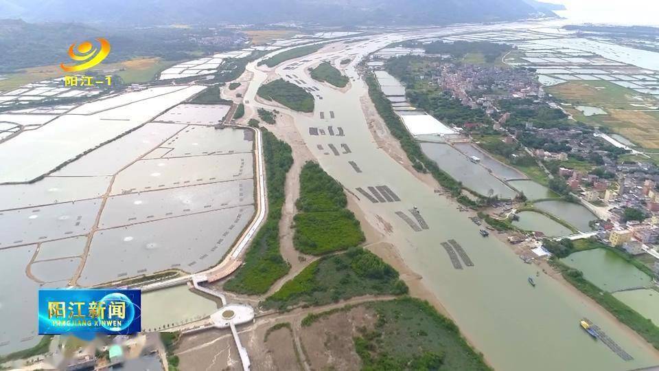 公园|2万亩红树林生机勃勃！海上森林“阳江经验”成为创森亮点